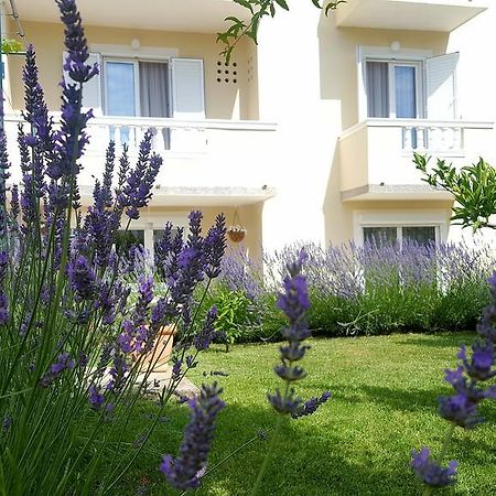 Apartment Branka Banjol Εξωτερικό φωτογραφία